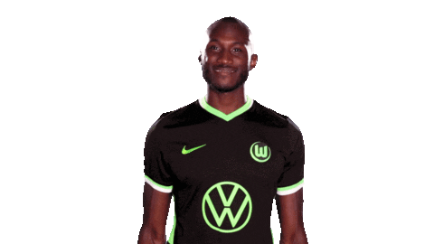Social Media Sticker Sticker by VfL Wolfsburg