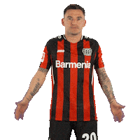 Bayer 04 What Sticker by Bayer 04 Leverkusen