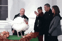barack obama potus GIF by Obama