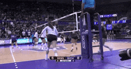 GIF by Brown Volleyball