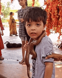 Naklihasi GIF