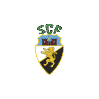 Scf Faro Sticker by Sporting Clube Farense
