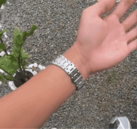 matteopellegrini24 giphygifmaker GIF