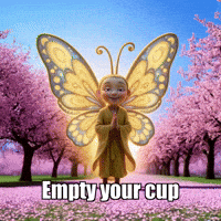 Wisdom Fulfillment GIF by BuddhaFlyJourney