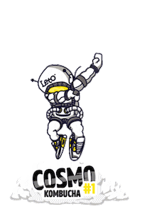 LetoCoffee kombucha brewing scoby leto coffee Sticker