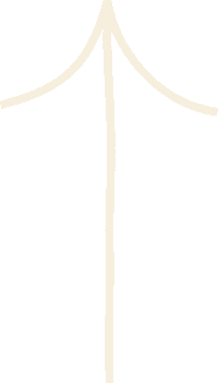 Pregunta Question Mark Sticker by Acicate Studio