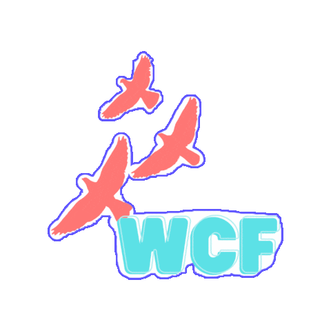 Womencanfly giphygifmaker women sydney empower Sticker