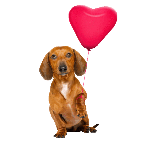 In Love Dog Sticker by wufwuf