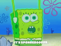 season 7 the curse of bikini bottom GIF by SpongeBob SquarePants