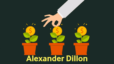 alexanderdillon giphygifmaker giphyattribution alexander dillon GIF