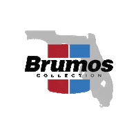 Racing Florida Sticker by thebrumoscollection