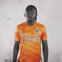 What Is This Mls GIF by Houston Dynamo