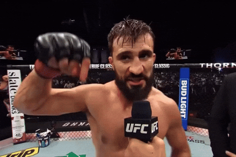 Ufc Mma GIF by Studo