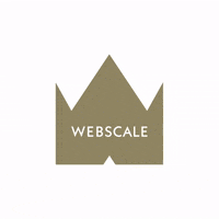 GIF by Webscale