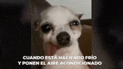 Highbeatsrecords_  GIF