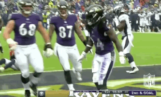 2018 Nfl Football GIF by NFL