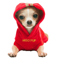 dog Sticker by MISO PUP