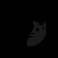 nekopublicidadjerez neko jerez nekopublicidad nekoteam GIF