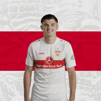 Happy Football GIF by VfB Stuttgart