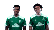 happy dance Sticker by SV Werder Bremen