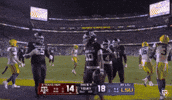 Celebration Hype GIF by Texas A&M Athletics