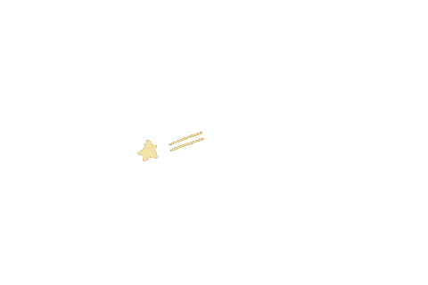 Star Sticker