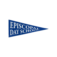 EDSAugusta flag pennant augusta eds Sticker