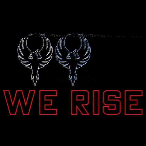 RiseAquaticClub giphygifmaker phoenix rise we rise GIF