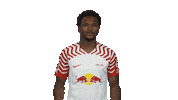 Think Rb Leipzig Sticker by Bundesliga