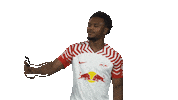 Happy Rb Leipzig Sticker by Bundesliga