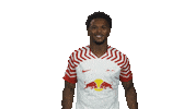 Rb Leipzig Dj Sticker by Bundesliga