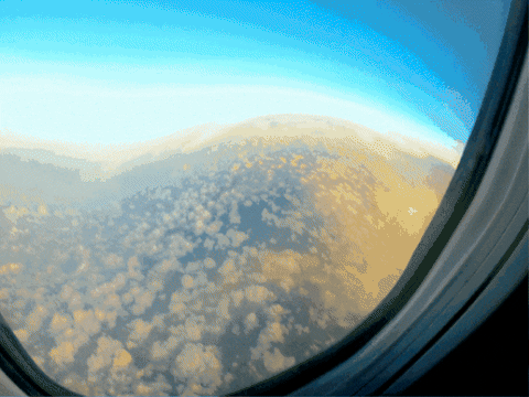 kevenreynolds giphygifmaker GIF