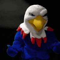 SAmericanSchool singapore sas eddie the eagle sasedu GIF