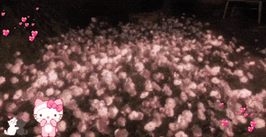 Forever Love Flowers GIF