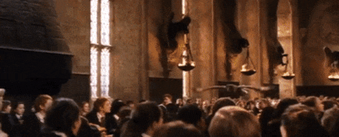 jasminesetsuna giphyupload owl potter weasley GIF