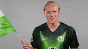 Soccer Reaction GIF by VfL Wolfsburg
