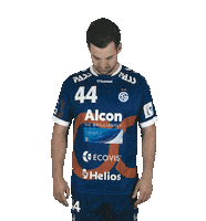 tvgrosswallstadt handball jubel 44 großwallstadt Sticker