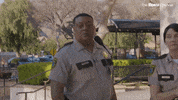 Reno 911 GIF by The Roku Channel