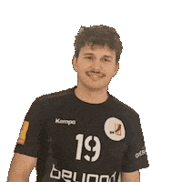 Handball Julian Sticker by SVFides