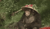 part idiots GIF