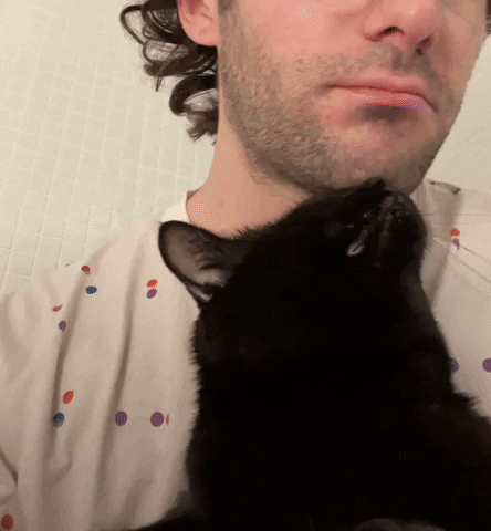 GIF by Chris