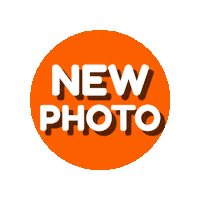 Instagram Orange Sticker