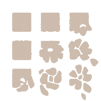 Country Music Singer Sticker by Kelsea Ballerini