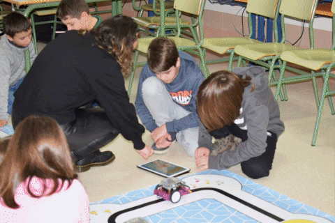 aurorarendopampn giphygifmaker GIF