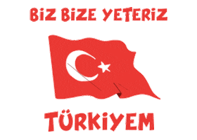Turkey Milli Sticker by Tambu Klavye