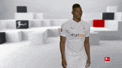 Posing Line Up GIF by Bundesliga