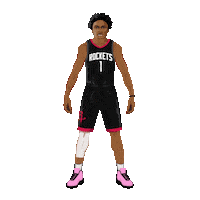 Nba Playoffs Basketball Sticker by Panini America