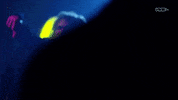 Wrestling Vice GIF by DARK SIDE OF THE RING