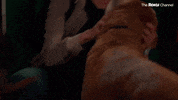 Dogs GIF by The Roku Channel