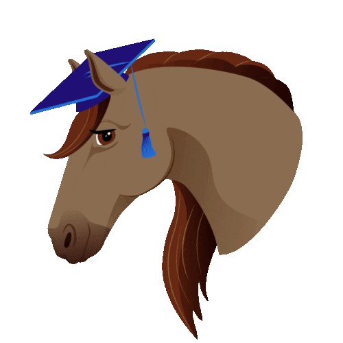 Sso Sticker by Star Stable